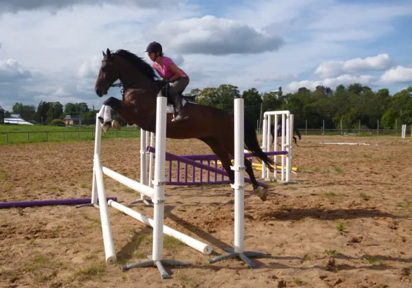Trainings