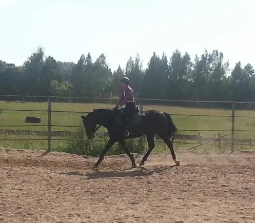 Linna  LS